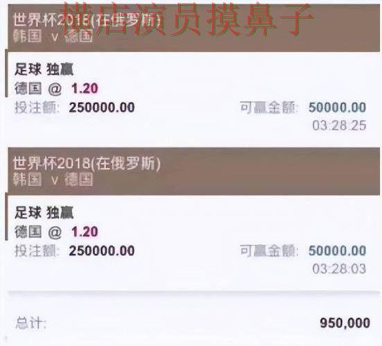 汇总世界杯投注平台：从真实体验到使用全流程解析 - 世界杯直播
